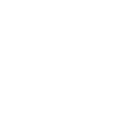 Rio A2